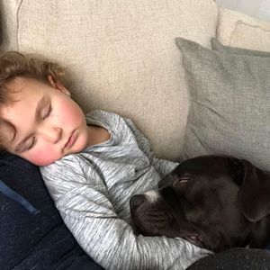 Meet your Posher, Rose